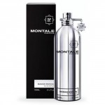 Парфюмерная вода Montale Mango Manga 100ml унисекс
